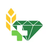 Старжинская Инна Васильевна Старжинская Инна Васильевна